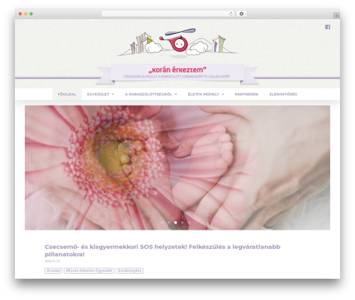 ASSEMBLY THEME (responsive) theme WordPress - koranerkeztem.hu