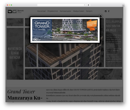 Cherry Framework WordPress page theme - demirligrup.com