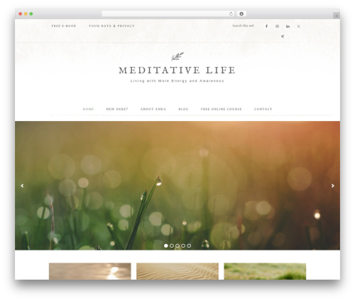 Market Theme WP theme - meditativelife.org