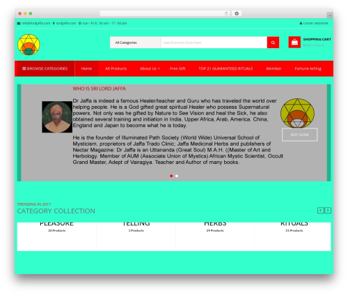 StoreVilla Pro WordPress theme - lordjaffa.com StoreVilla Pro WordPress theme - lordjaffa.com