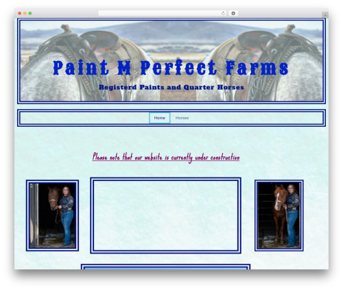 Theme WordPress Amazorize - paintmperfectfarms.com