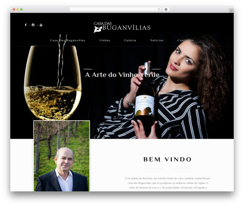 WordPress theme Vineyard - casadasbuganvilias.com