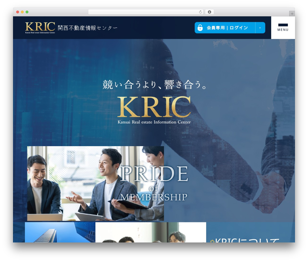Best WordPress theme default - kric.co.jp