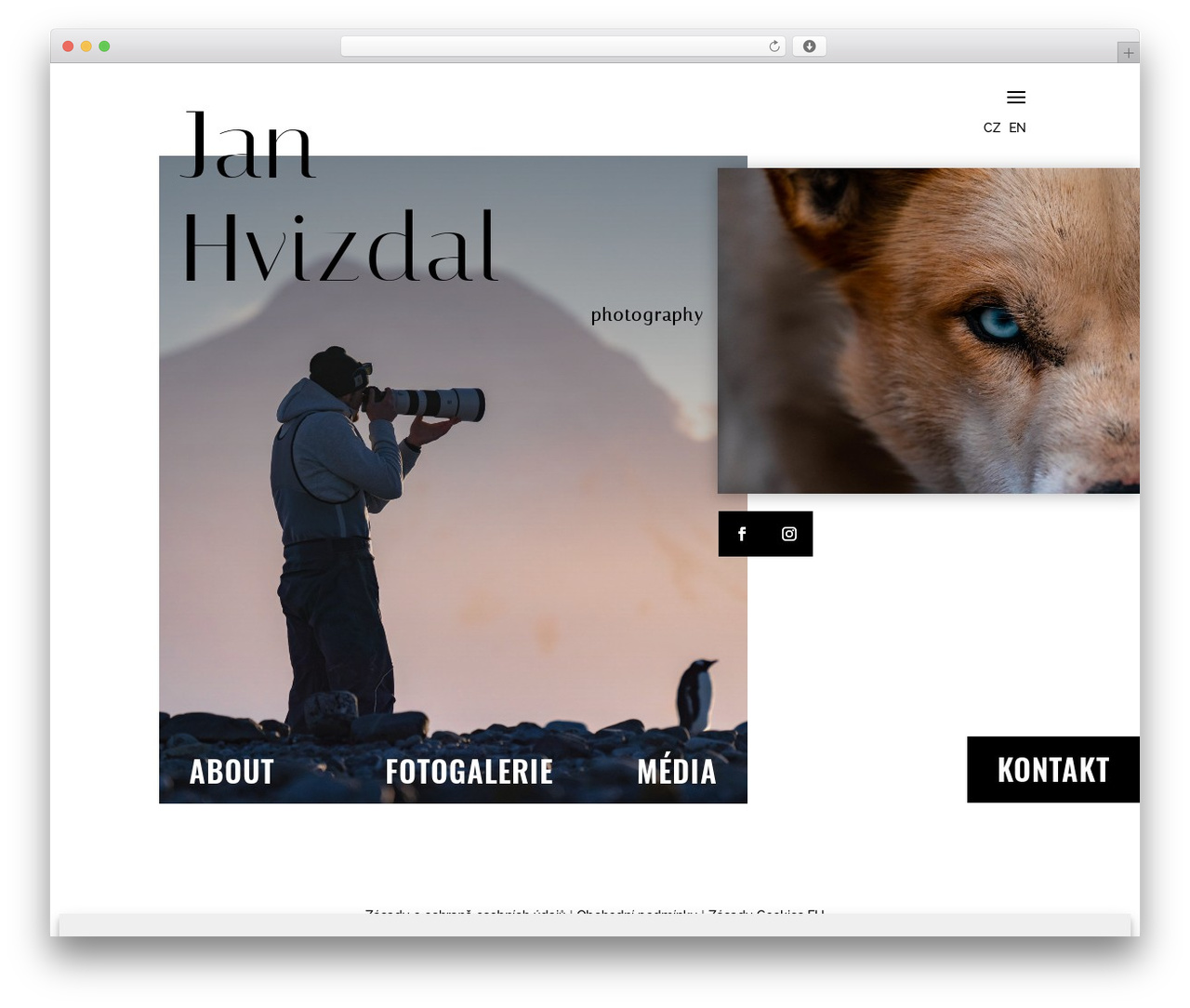 Divi WordPress theme - janhvizdalphotography.com