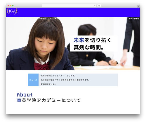 Emanon Premium premium WordPress theme - ikueizemi.com