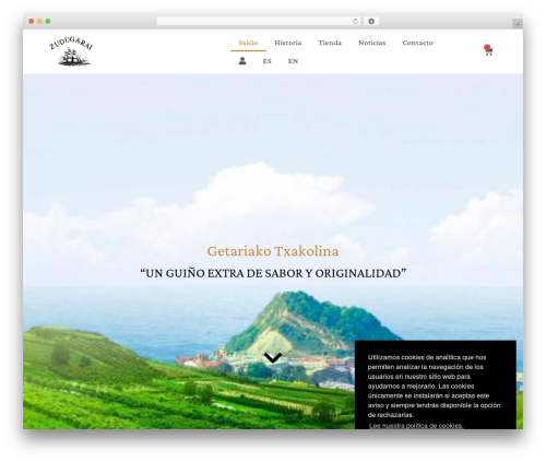 Hello Elementor theme WordPress - txakolizudugarai.com
