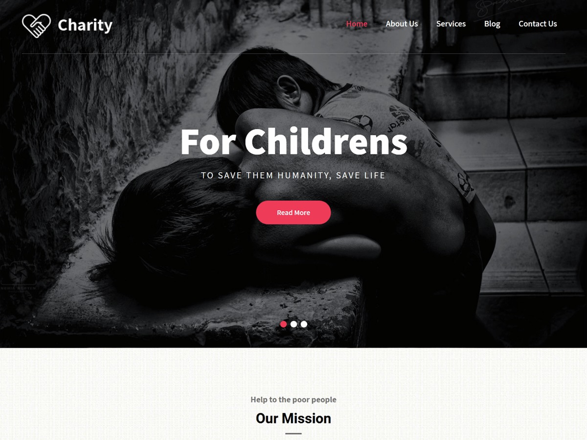 Pin Charity WordPress ecommerce theme