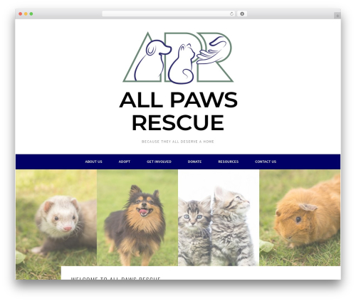 Animated Number Counters (animated-number-counters) free WordPress plugin - allpawsrescueok.org Animated Number Counters (animated-number-counters) free WordPress plugin - allpawsrescueok.org