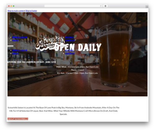 Best WordPress theme Bricks - scissorbills.com