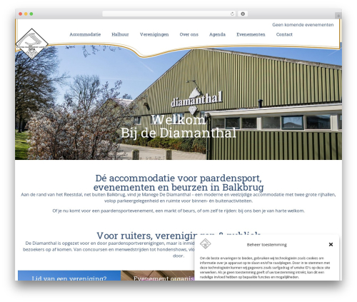 Hello Elementor theme WordPress - diamanthal.nl