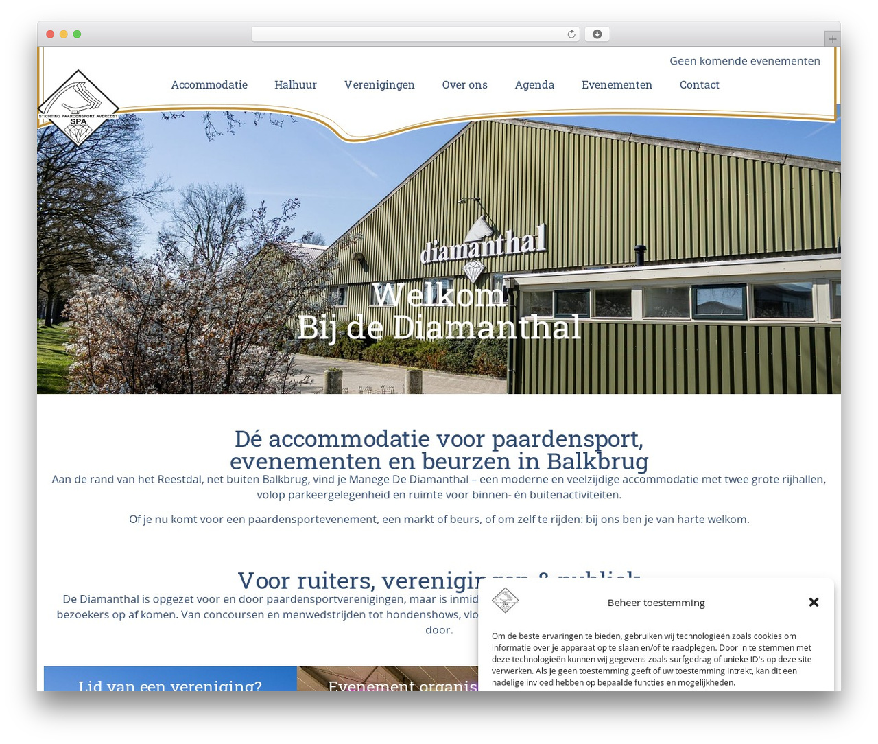 Hello Elementor theme WordPress - diamanthal.nl