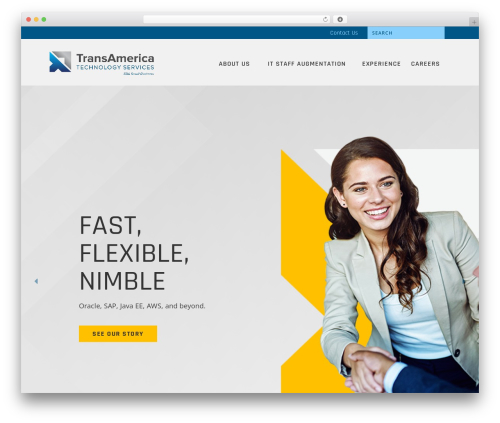 High Performance Framework WordPress theme - goerp.com