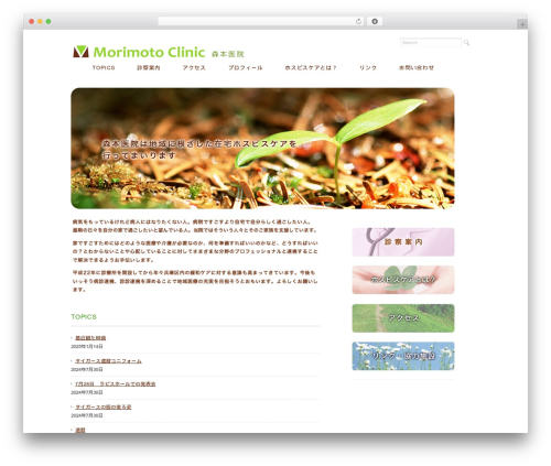 Ruby Tuesday WP theme - morimoto-dr.jp