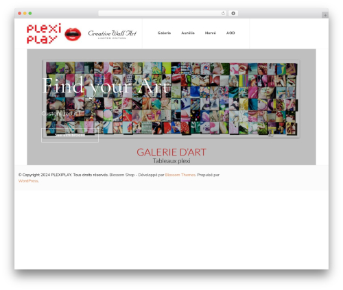 Theme WordPress Blossom Shop - plexiplay.fr