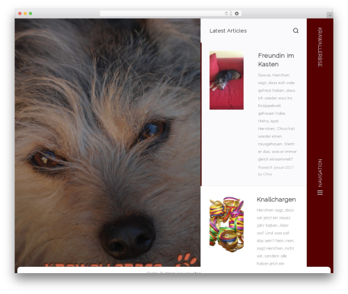 Ecko Hydra WordPress theme - krawallerbse.de