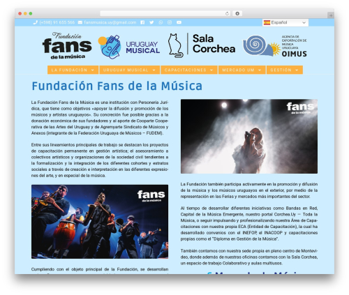 Storefront pro premium WordPress plugin - uruguaymusical.com