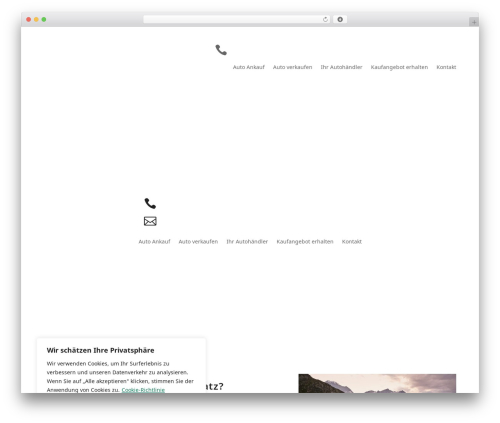 Embedder for google reviews WordPress plugin - autoankauf-ab-platz.ch