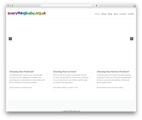 Genesis WordPress theme - everythingbaby.org.uk