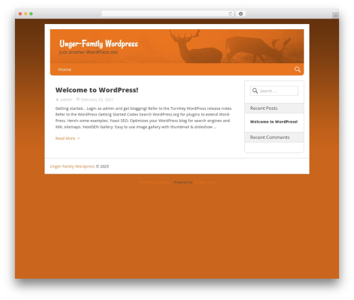 Nevertheless premium WordPress theme - unger-family.com