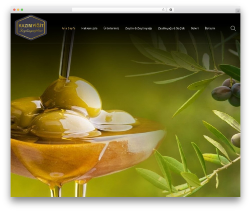 Ef4 framework WordPress plugin - kazimyigit.com