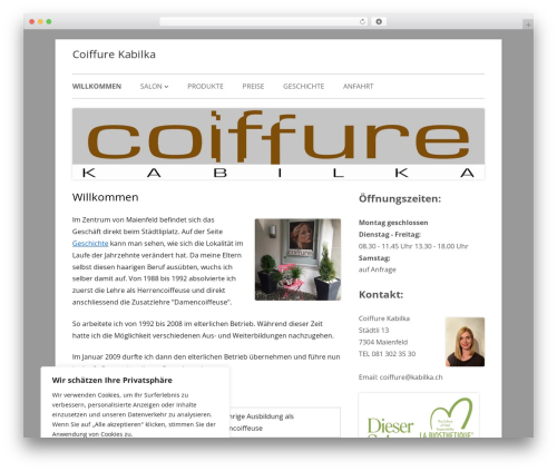 Tiny Framework WordPress theme free download - kabilka.ch