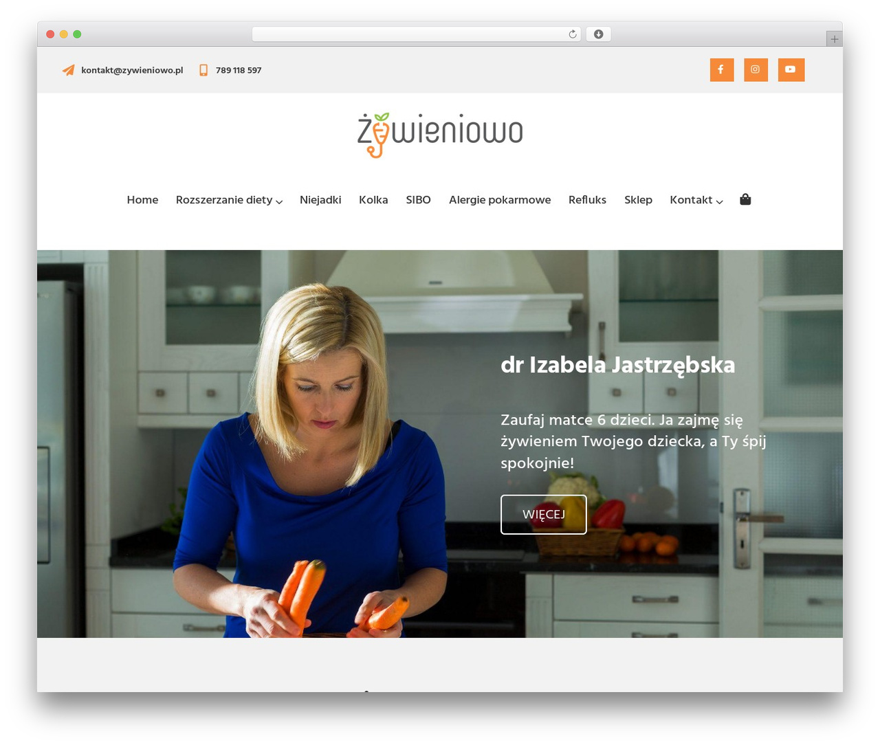 Vizeon theme WordPress - zywieniowo.pl