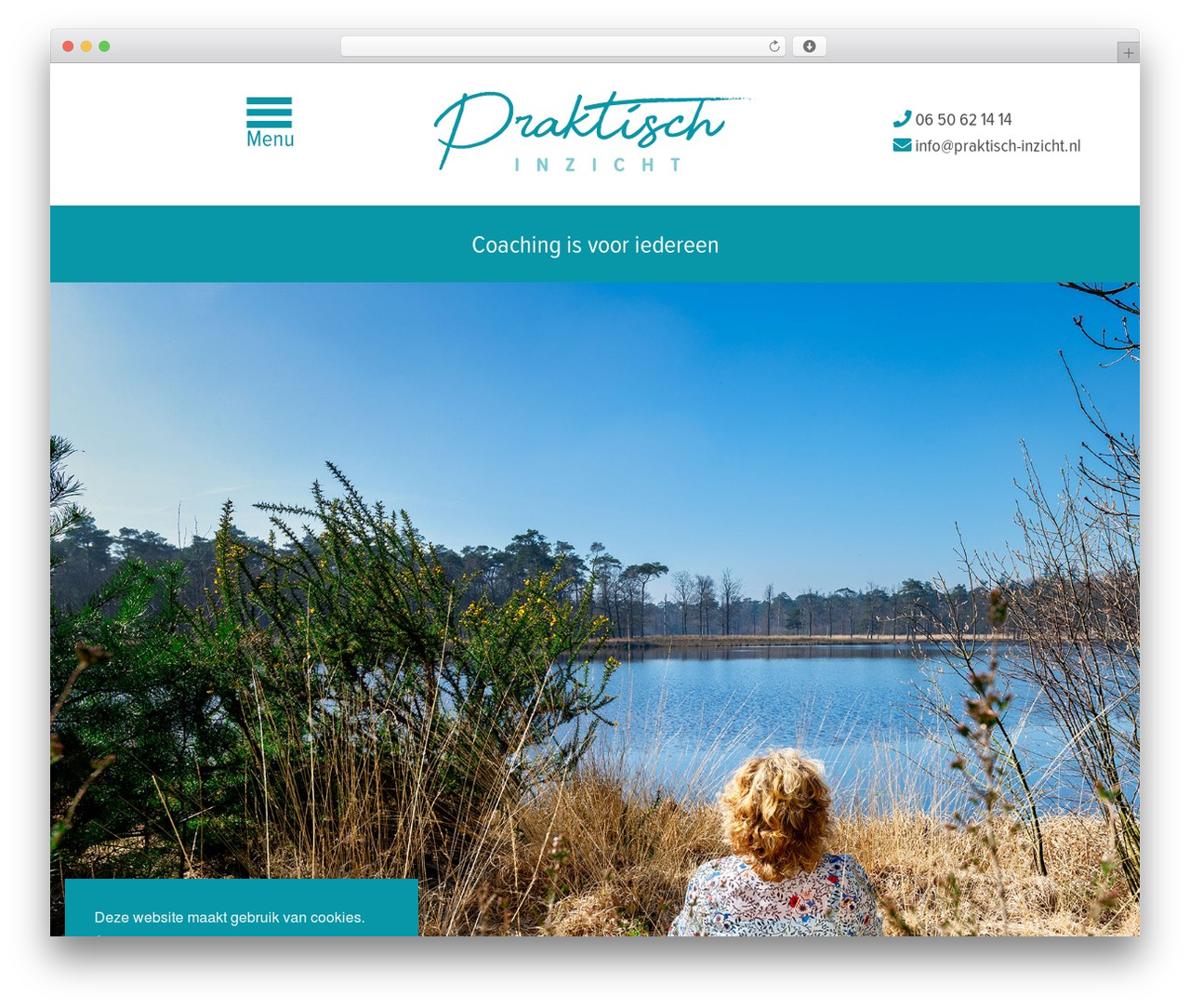 Theme WordPress Silvertheme - praktisch-inzicht.nl