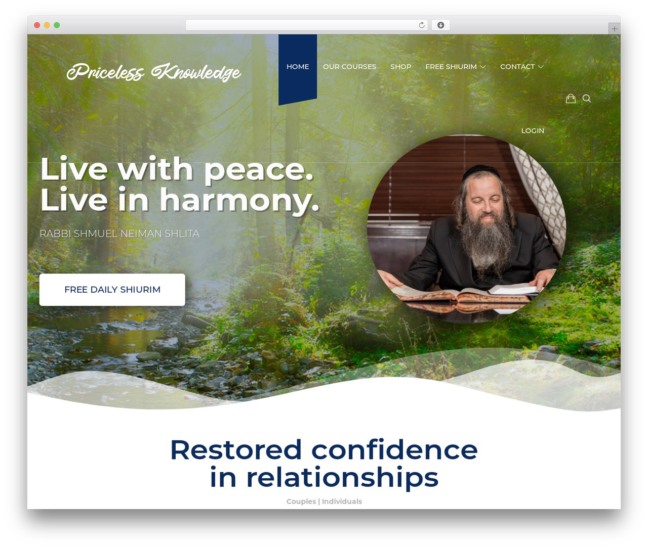 Efor WordPress store theme - pricelessknowledge.com