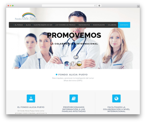 Seamless Donations: A Platform for Global Fundraising and Rebuilding using Stripe and PayPal (seamless-donations) free WordPress plugin - fondoaliciapueyo.org