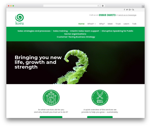 Theme WordPress Divi - korusales.com