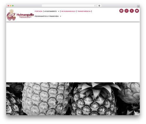 Elfsight facebook feed cc WordPress plugin - huimanguillo.gob.mx