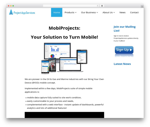 Thinkup panels WordPress plugin - projectappservices.com