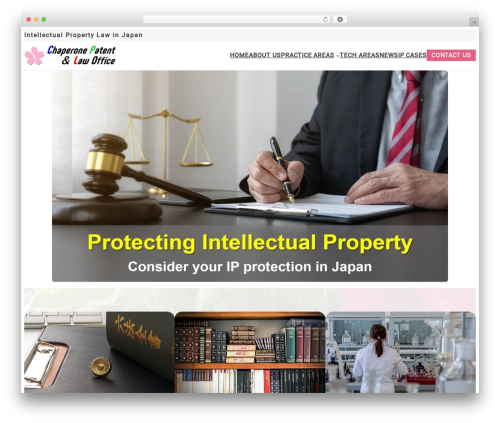 WordPress theme X-T9 - chaperonelaw.com