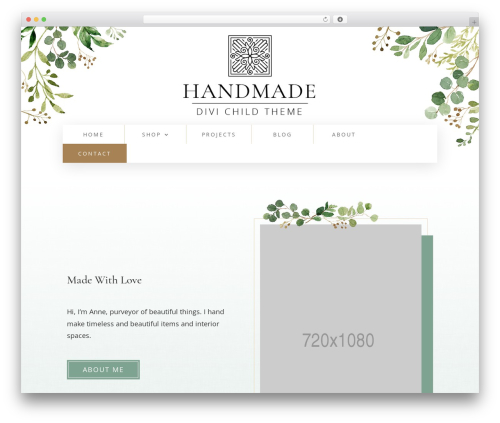 Divi top WordPress theme - natubub.com