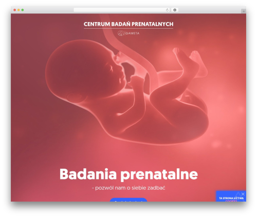 Empty Template WordPress gaming theme - badanieprenatalne.com