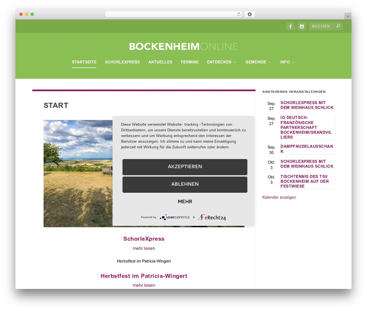 ExtraChild WordPress theme design - bockenheim-online.de