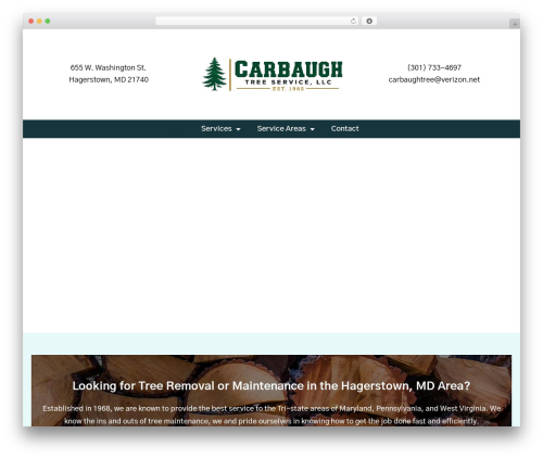 Hello Elementor theme WordPress free - carbaughtree.com