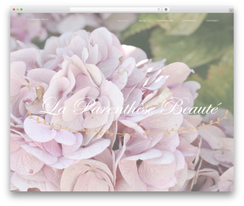 Wyde core WordPress plugin - laparenthesebeaute.com