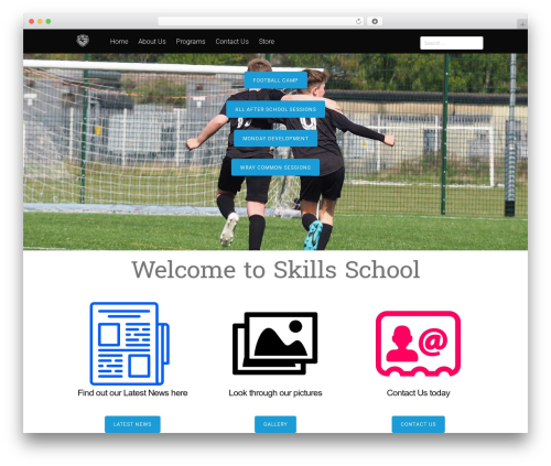 Tesseract WordPress theme - skillsschool.uk