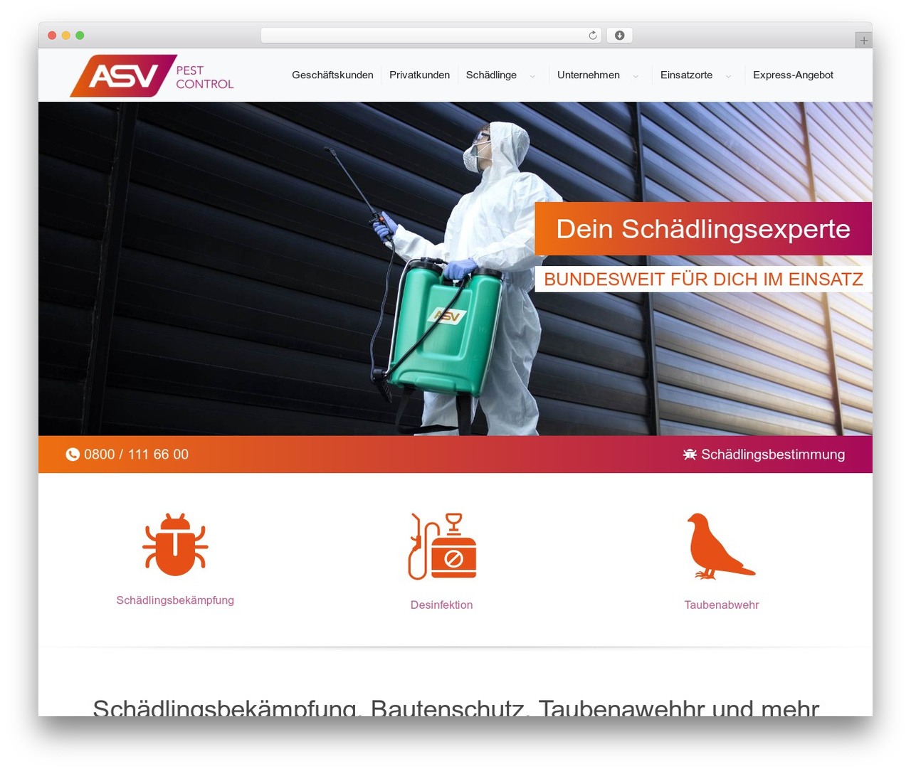 UnderStrap WordPress theme design - a-asv.de