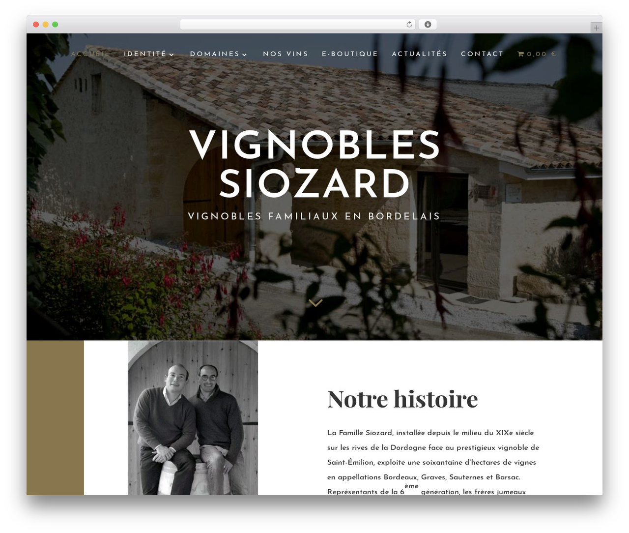 WordPress theme Divi - vignobles-siozard.com