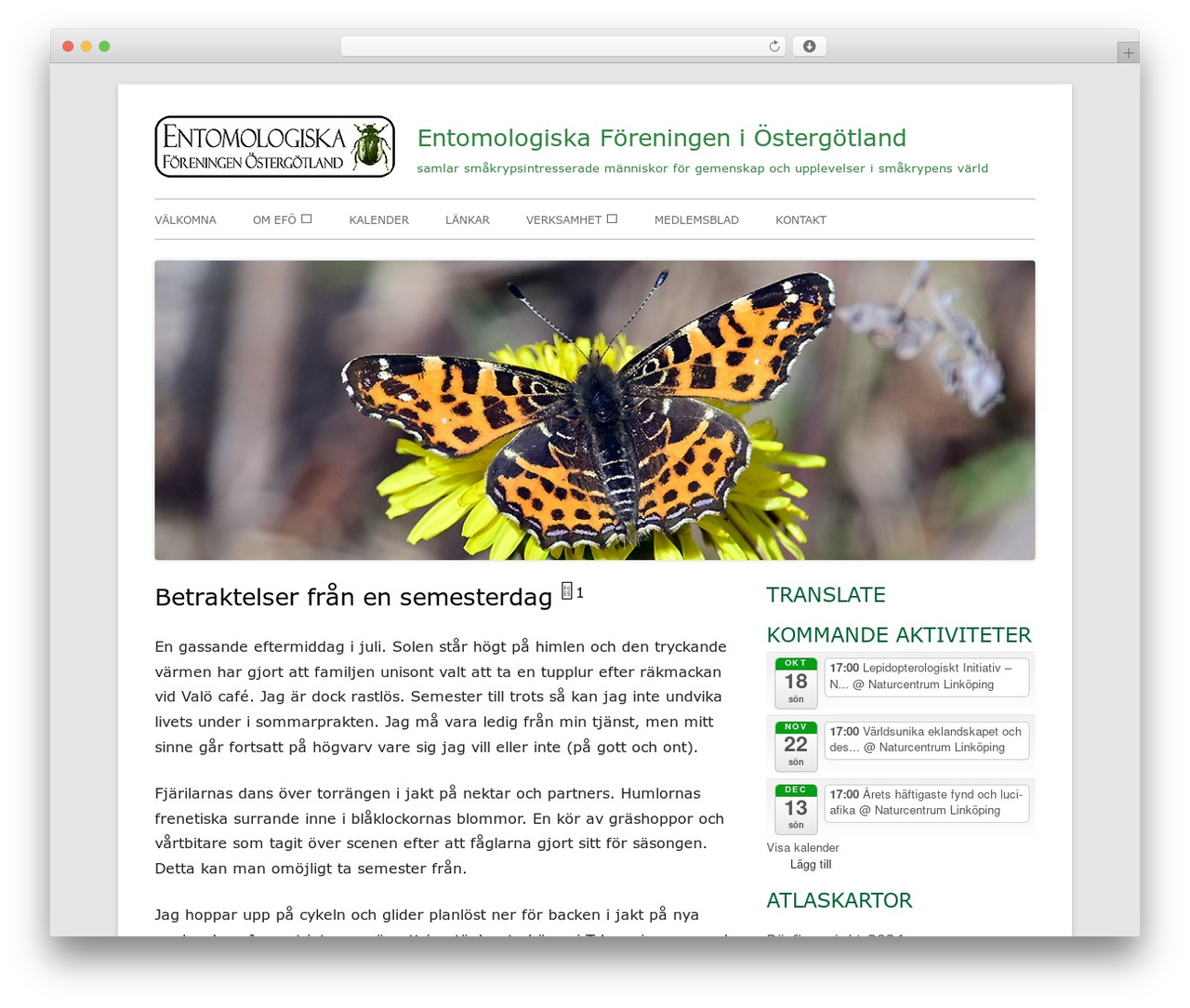 Best WordPress theme Tiny Framework - ostgotaentomologerna.se Best WordPress theme Tiny Framework - ostgotaentomologerna.se