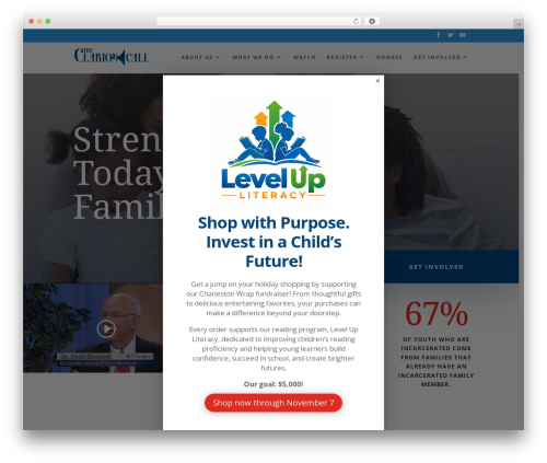 Divi theme WordPress - theclarioncall.info