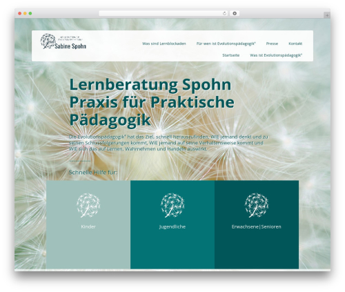WP MapIt (wp-mapit) free WordPress plugin - lernberatung-spohn.de