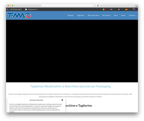Perfect WordPress theme - temacslitters.com