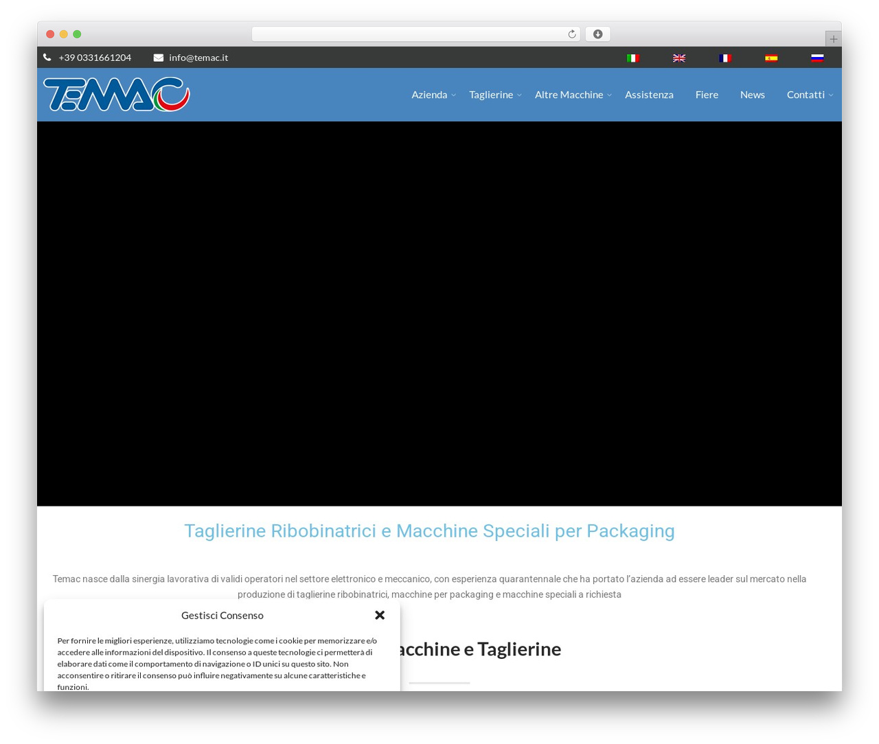 Perfect WordPress theme - temacslitters.com