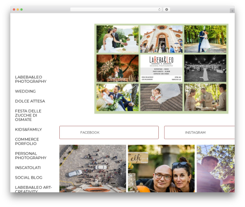 WordPress theme Infi - leoneluraghi.com