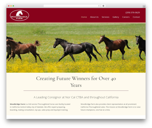 Create WordPress website theme - woodbridgethoroughbreds.com