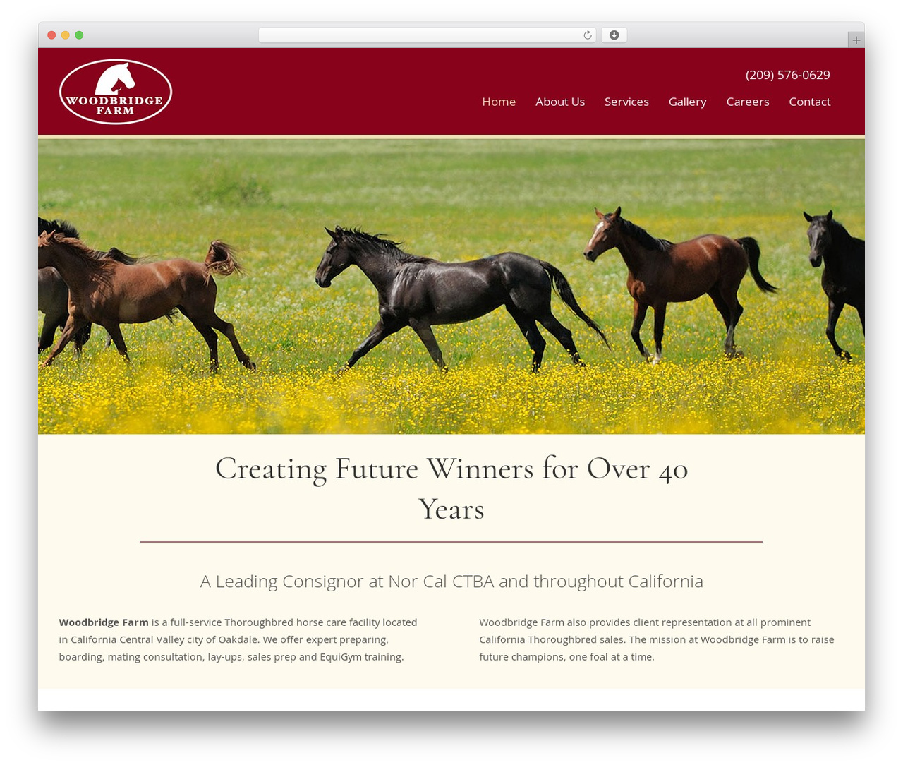 Create WordPress website theme - woodbridgethoroughbreds.com Create WordPress website theme - woodbridgethoroughbreds.com