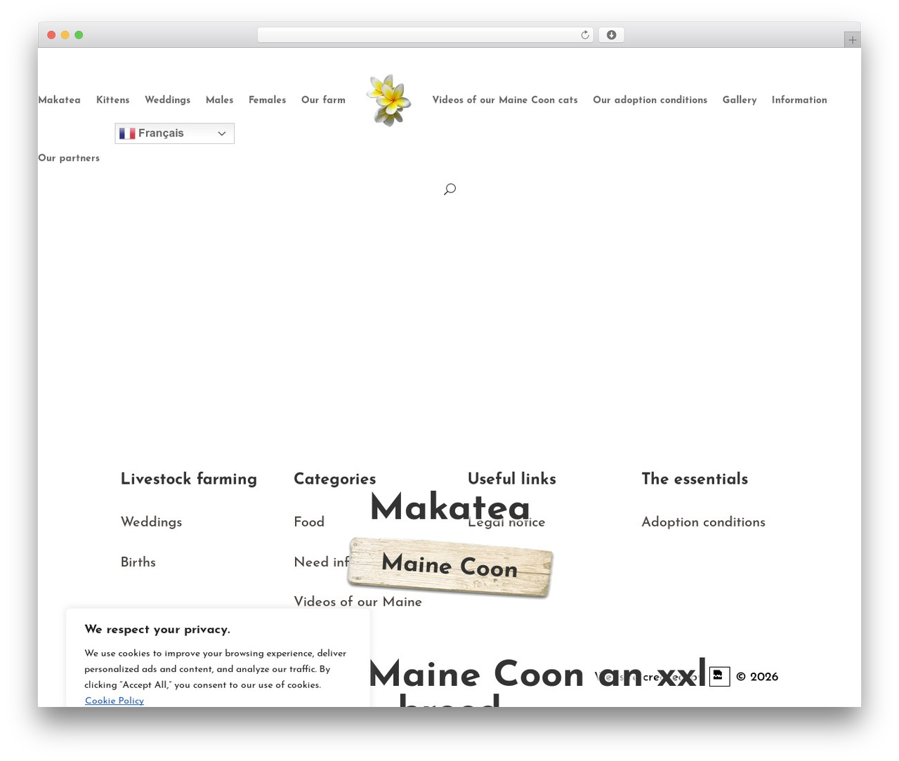 Divi theme WordPress - maine-coon-elevage.com